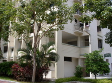 Blk 827A Tampines Street 81 (S)521827 #98692